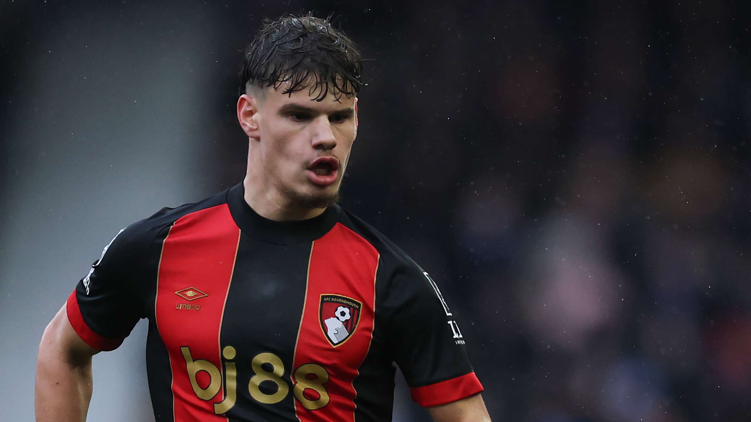 紧密的联系 紧密的联系